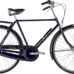 Raleigh Tourist De Luxe Herre 7 Gear