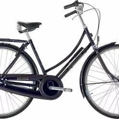 Raleigh Tourist De Luxe Dame 3 Gear
