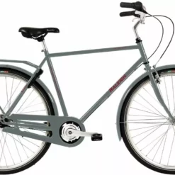 Raleigh Darlington Grå 7 Gear