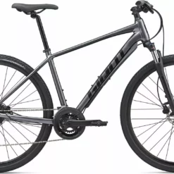 Giant Roam 2 Disc Grå